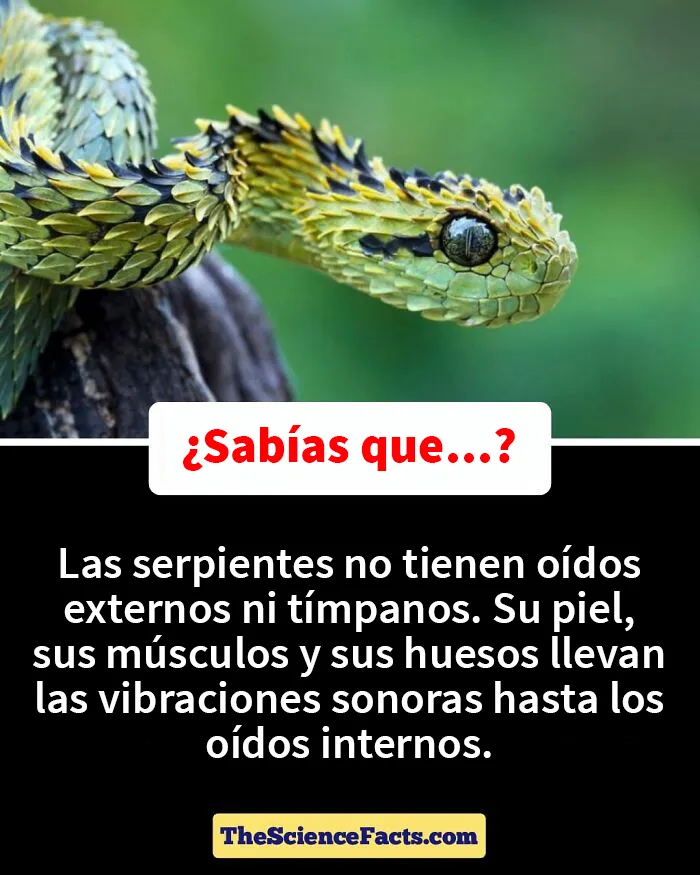20 Datos curiosos pero geniales sobre la naturaleza compartidos en este grupo de FB