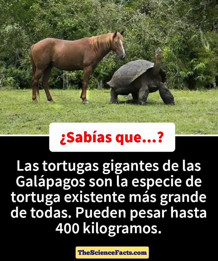 20 Datos curiosos pero geniales sobre la naturaleza compartidos en este grupo de FB