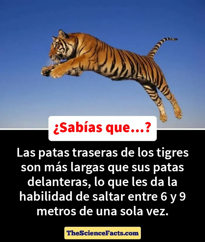 20 Datos curiosos pero geniales sobre la naturaleza compartidos en este grupo de FB