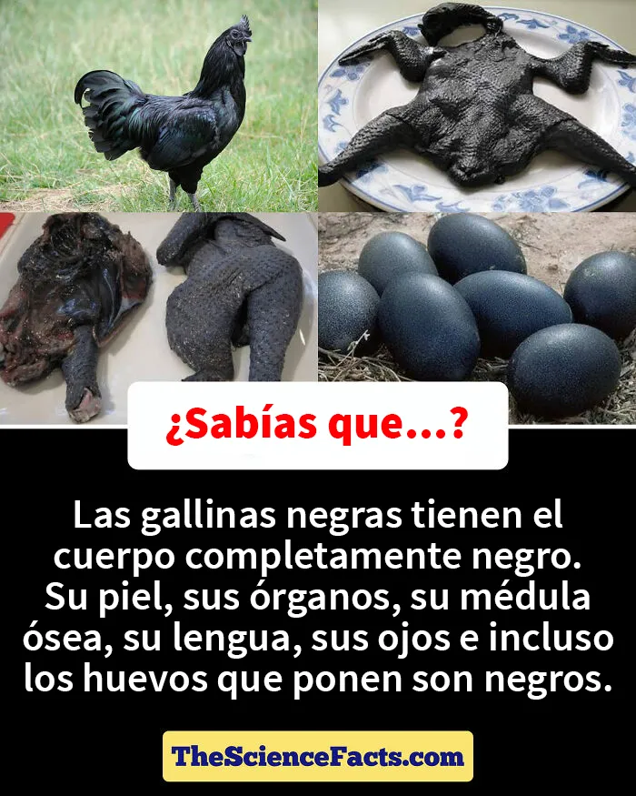 20 Datos curiosos pero geniales sobre la naturaleza compartidos en este grupo de FB