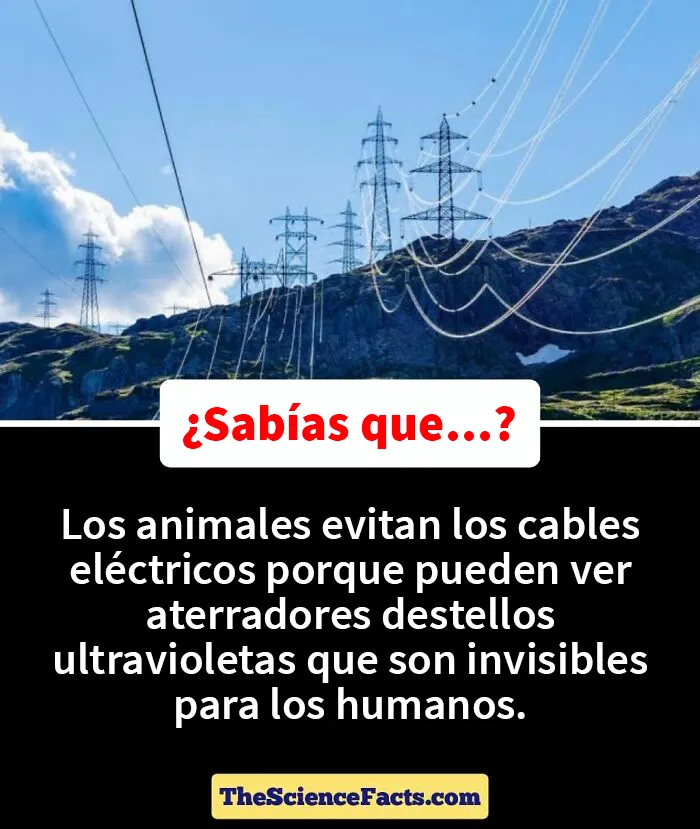 20 Datos curiosos pero geniales sobre la naturaleza compartidos en este grupo de FB