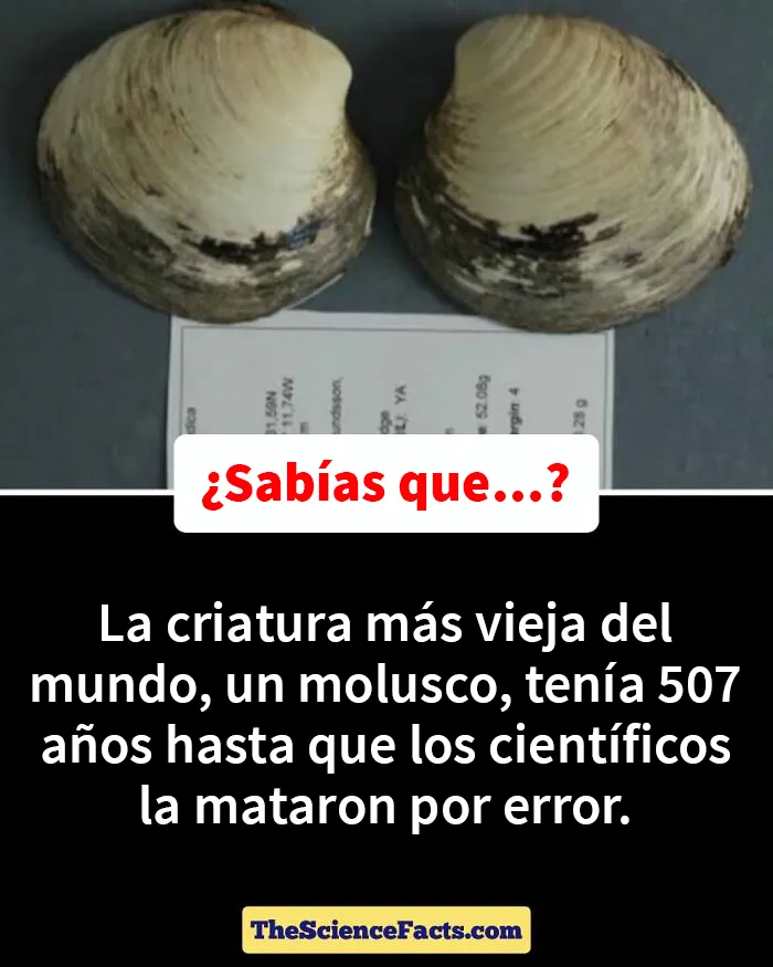 20 Datos curiosos pero geniales sobre la naturaleza compartidos en este grupo de FB
