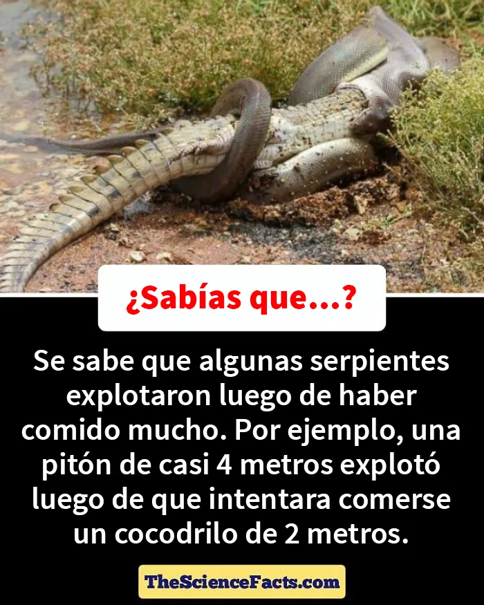 20 Datos curiosos pero geniales sobre la naturaleza compartidos en este grupo de FB
