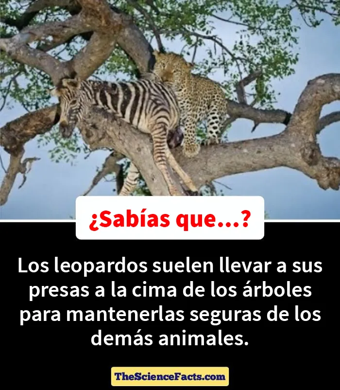20 Datos curiosos pero geniales sobre la naturaleza compartidos en este grupo de FB
