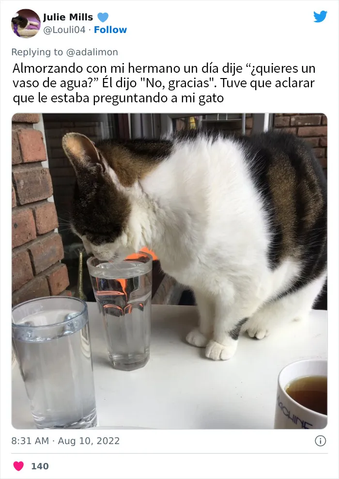 20 Personas avergonzadas porque creyeron que les hablaban a ellos, y en realidad era con sus mascotas