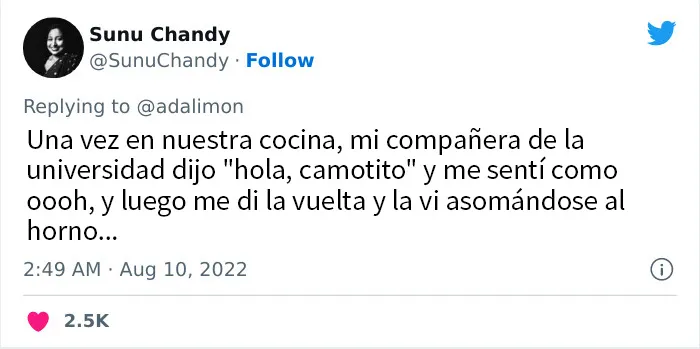 20 Personas avergonzadas porque creyeron que les hablaban a ellos, y en realidad era con sus mascotas