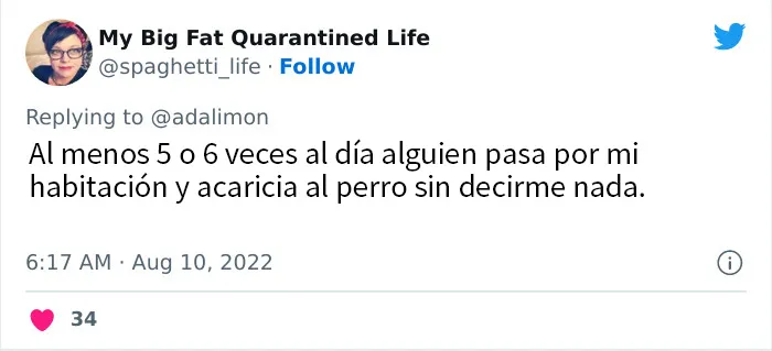 20 Personas avergonzadas porque creyeron que les hablaban a ellos, y en realidad era con sus mascotas