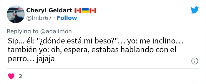 20 Personas avergonzadas porque creyeron que les hablaban a ellos, y en realidad era con sus mascotas