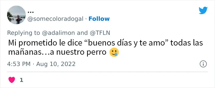 20 Personas avergonzadas porque creyeron que les hablaban a ellos, y en realidad era con sus mascotas