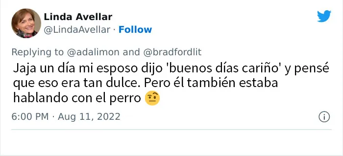 20 Personas avergonzadas porque creyeron que les hablaban a ellos, y en realidad era con sus mascotas