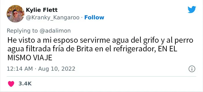 20 Personas avergonzadas porque creyeron que les hablaban a ellos, y en realidad era con sus mascotas