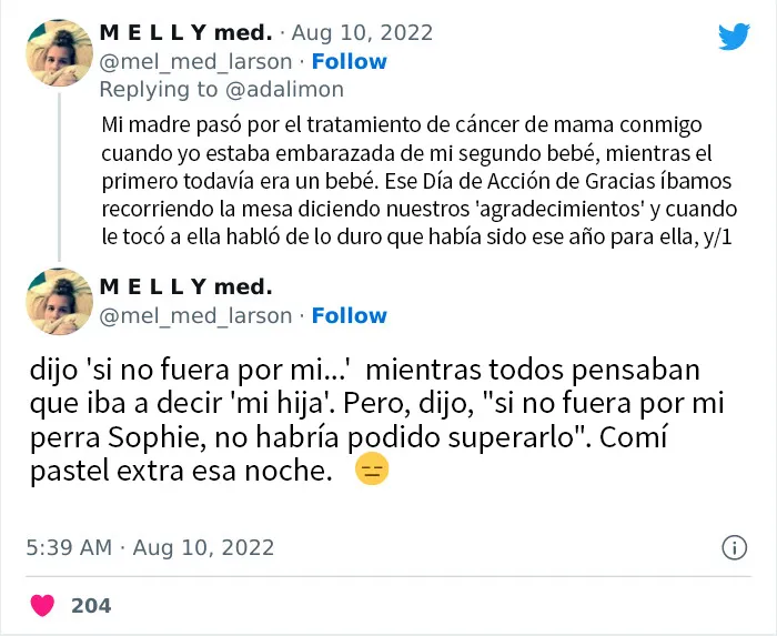 20 Personas avergonzadas porque creyeron que les hablaban a ellos, y en realidad era con sus mascotas
