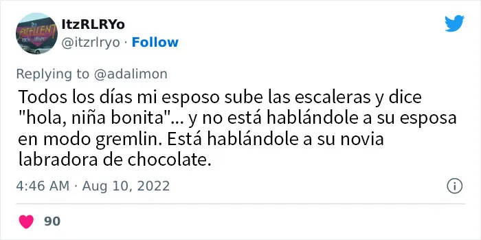 20 Personas avergonzadas porque creyeron que les hablaban a ellos, y en realidad era con sus mascotas