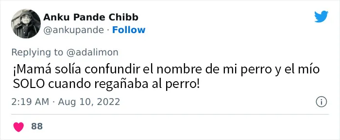 20 Personas avergonzadas porque creyeron que les hablaban a ellos, y en realidad era con sus mascotas