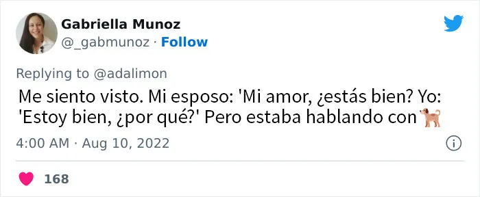 20 Personas avergonzadas porque creyeron que les hablaban a ellos, y en realidad era con sus mascotas