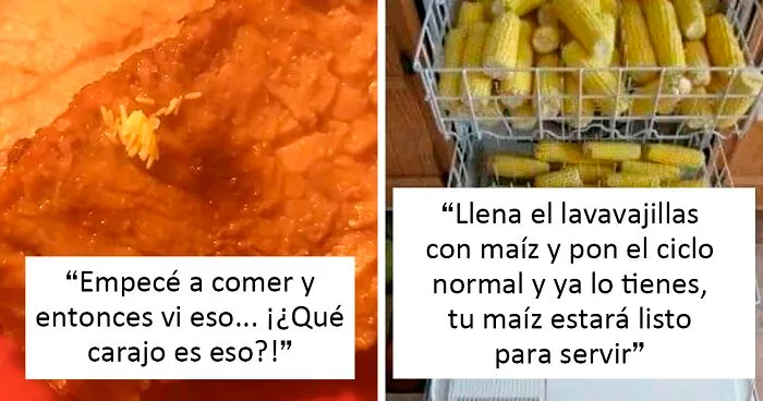 La gente comparte 20 fotos de comida muy asquerosa que trajeron sus invitados