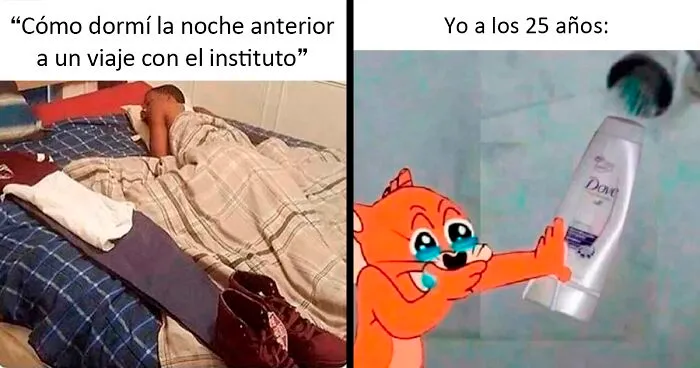 La gente comparte 20 memes dolorosamente divertidos para resumir la edad adulta
