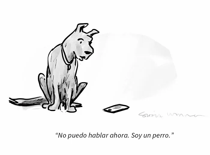 10 Ingeniosos cómics en una sola viñeta creador por Sofia Warren, dibujante del New Yorker