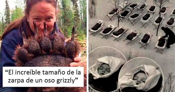 45 Cosas raras, maravillosas y extrañas que hay en el mundo, compartidas en este grupo online