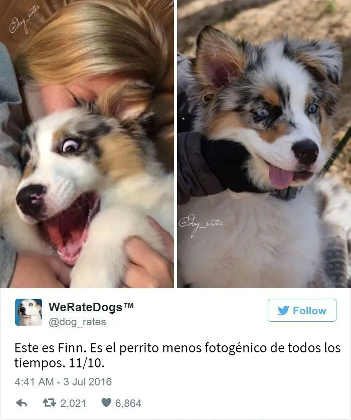 Finn hace que la vida de los fotógrafos sean interesantes