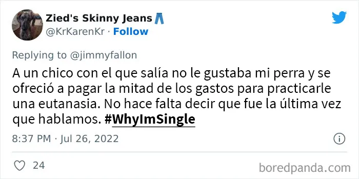 Jimmy Fallon preguntó a la gente por qué sigue soltera, y le dan divertidas y extrañas razones (20 tuits nuevos)