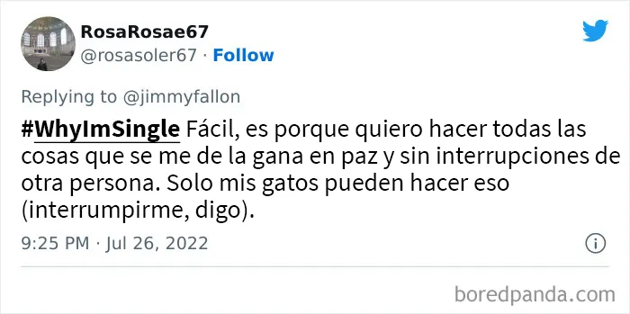 Jimmy Fallon preguntó a la gente por qué sigue soltera, y le dan divertidas y extrañas razones (20 tuits nuevos)