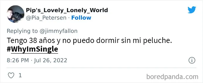 Jimmy Fallon preguntó a la gente por qué sigue soltera, y le dan divertidas y extrañas razones (20 tuits nuevos)