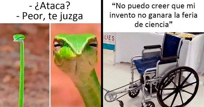 20 Divertidos chistes y memes científicos que no requieren un C.I.de 300 para entenderlos