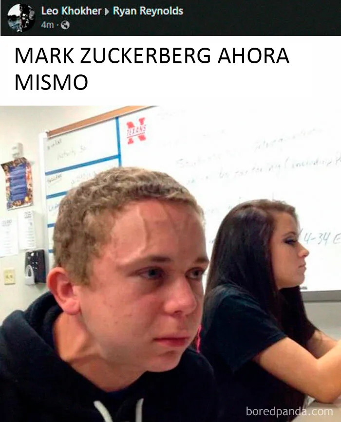 20 Reacciones de risa ante el nuevo fallo en las publicaciones de Facebook