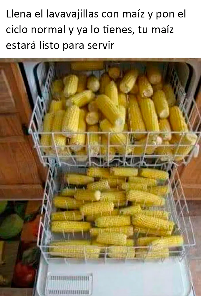 La gente comparte 20 fotos de comida muy asquerosa que trajeron sus invitados