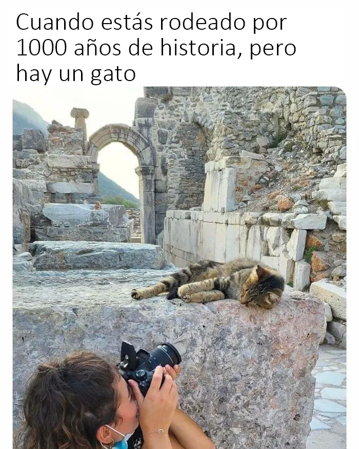 20 Memes tan acertados como divertidos que los frikis de la Historia apreciarán