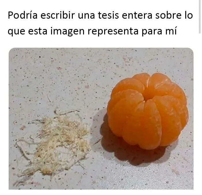 20 Memes sobre comida tan divertidos como verdaderos