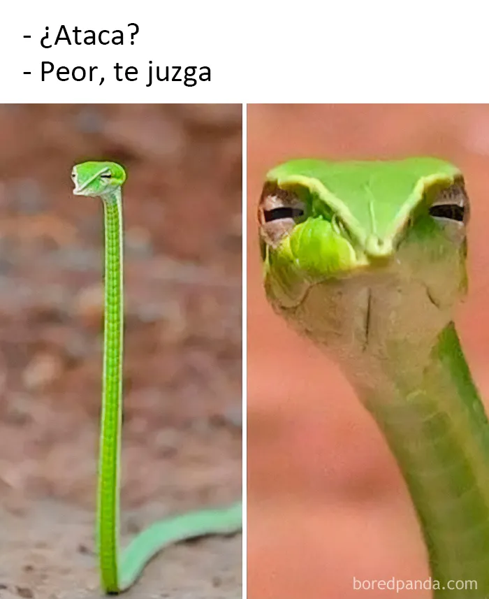 20 Divertidos chistes y memes científicos que no requieren un C.I.de 300 para entenderlos