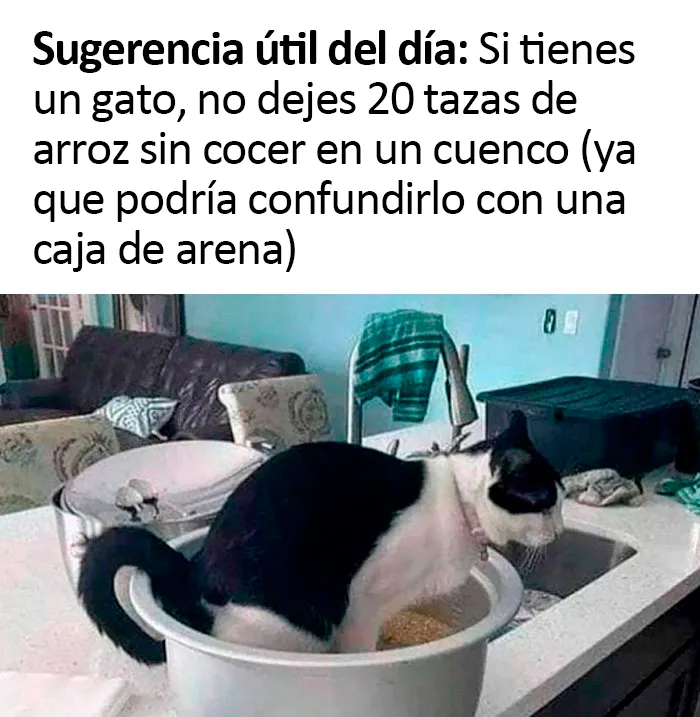 La gente comparte 20 fotos de comida muy asquerosa que trajeron sus invitados