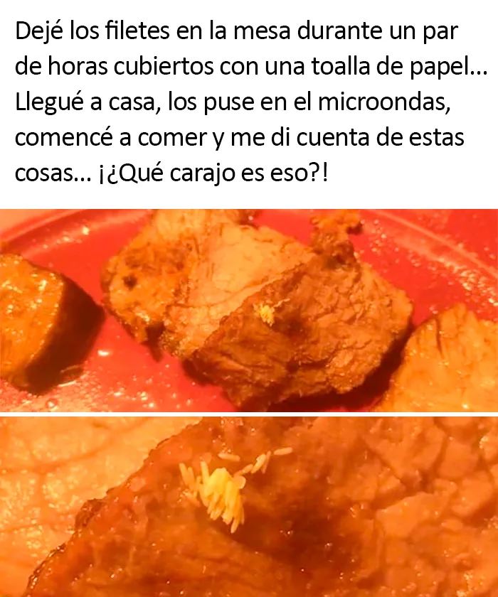 La gente comparte 20 fotos de comida muy asquerosa que trajeron sus invitados