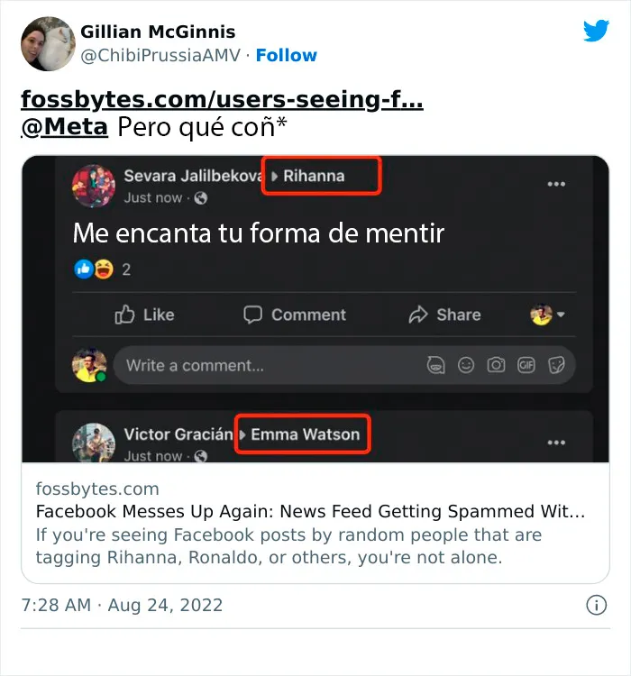 20 Reacciones de risa ante el nuevo fallo en las publicaciones de Facebook