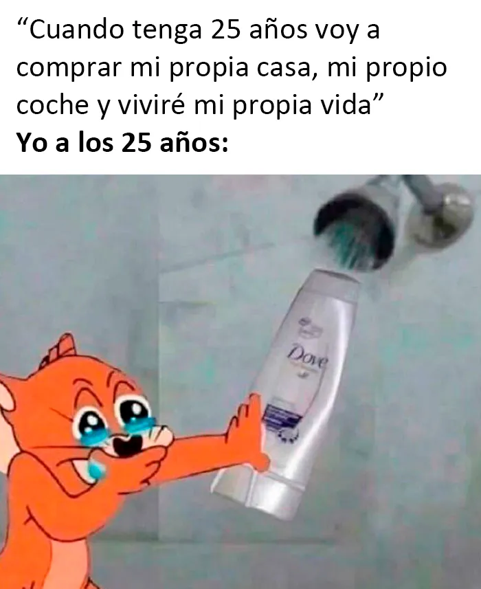 La gente comparte 20 memes dolorosamente divertidos para resumir la edad adulta