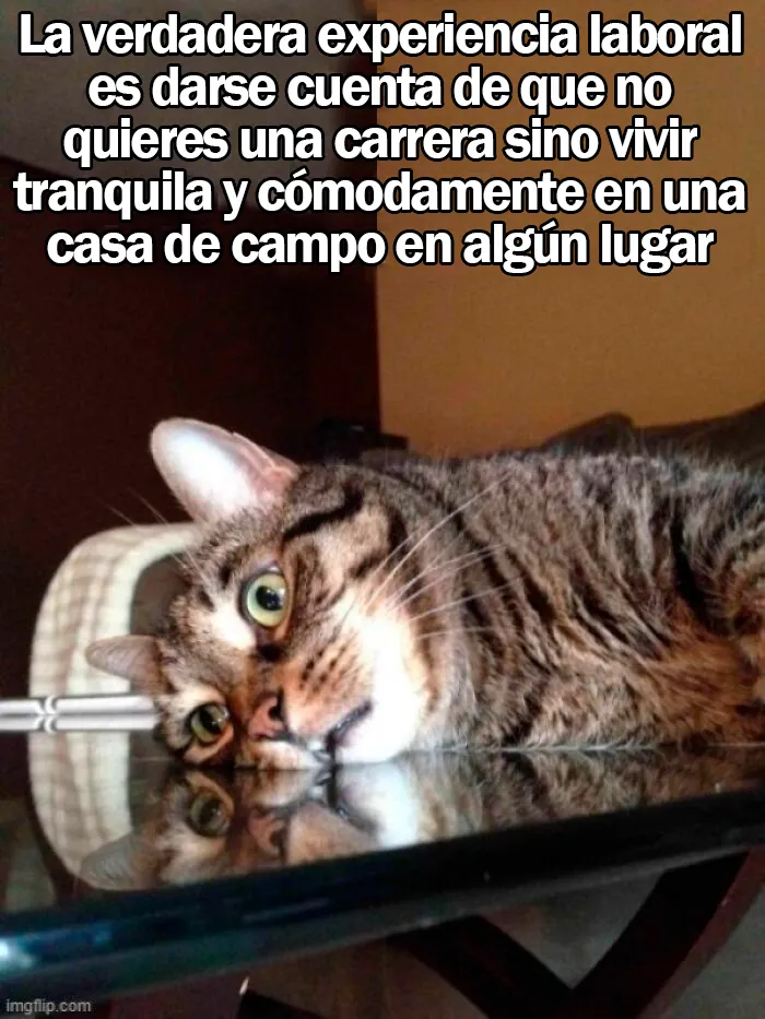 La gente comparte 20 memes dolorosamente divertidos para resumir la edad adulta