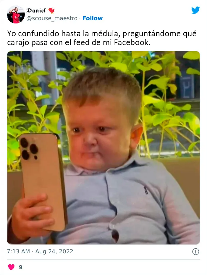20 Reacciones de risa ante el nuevo fallo en las publicaciones de Facebook