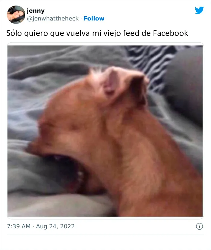 20 Reacciones de risa ante el nuevo fallo en las publicaciones de Facebook