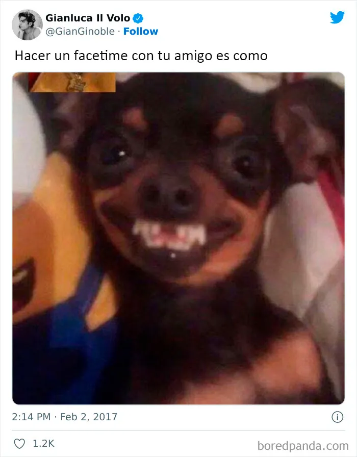 20 Tuits sobre la amistad que querrás compartir con tus amigos