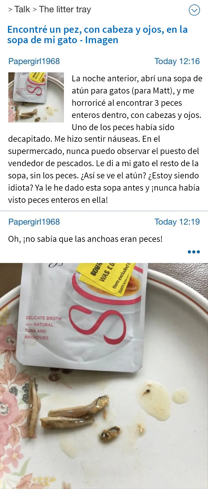 20 Madres locas que fueron demasiado lejos, compartidas en "Mumsnet madness"