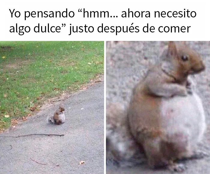 20 Divertidos memes compartidos por esta cuenta de Twitter