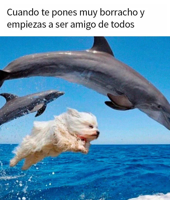 20 Divertidos memes compartidos por esta cuenta de Twitter