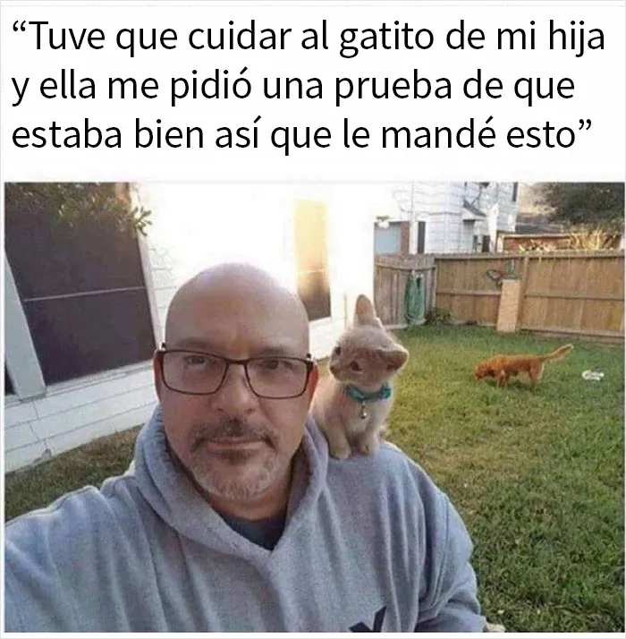 20 Memes y publicaciones reconfortantes que nos recuerdan que el mundo no es del todo malo