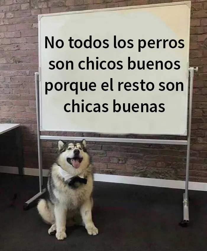 20 Memes y publicaciones reconfortantes que nos recuerdan que el mundo no es del todo malo