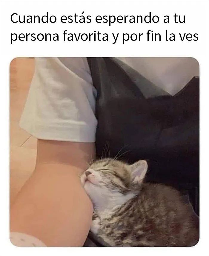 20 Memes y publicaciones reconfortantes que nos recuerdan que el mundo no es del todo malo