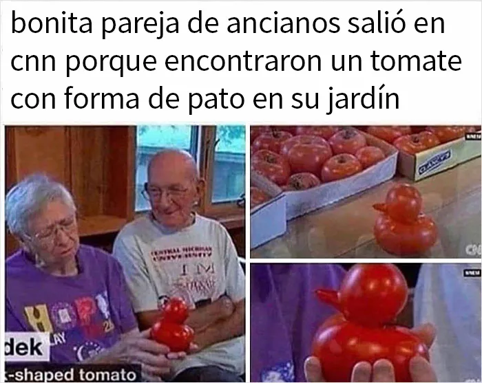 20 Memes y publicaciones reconfortantes que nos recuerdan que el mundo no es del todo malo