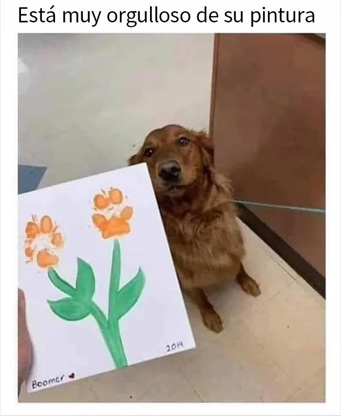 20 Memes y publicaciones reconfortantes que nos recuerdan que el mundo no es del todo malo