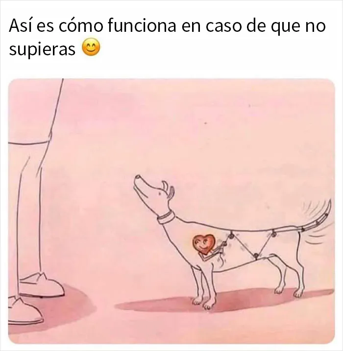 20 Memes y publicaciones reconfortantes que nos recuerdan que el mundo no es del todo malo